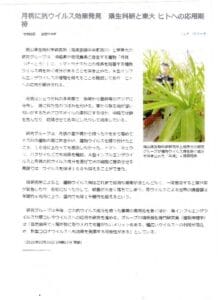 数百年前から愛されている月桃茶（沖縄産）20ｇ×30包入り（送料込み）、植物の絵が載った日本の新聞です。