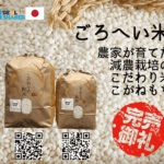 【完売御礼・在庫の追加】ごろへい米新米白米10kgが完売しましたが、マーチャントの方が在庫を追加