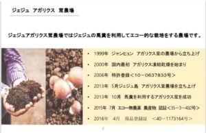 プレゼンテーションのスライドには、右側にタイムラインとともに日本語のテキストが表示されています。左側には、土壌とアガリスクキノコの画像が表示され、凍結乾燥などのキノコのユニークな特性を維持する技術を含む栽培プロセスが強調されています。.