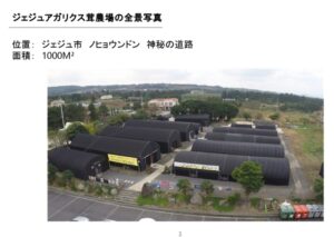 済州市挟才の農業地帯に広がる、1,000 平方メートルに渡る黒い屋根の建物が並ぶ上空からの眺め。この絵のように美しい風景は、伝統と自然の美しさが出会う済州の穏やかな本質を凝縮しています。.