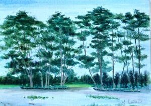 草地に群生する背の高い葉の茂った木々を描いた水彩画。背景には青い空と遠くの森が広がっています。風景水彩画の魅力を捉えた作品で、右下隅に作者のサインが見られます。.