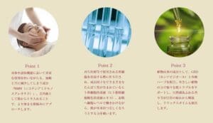 3つの円形セクション：左はフェイシャルマッサージを受ける人、中央は科学試験管、右は小瓶の上に液体が入ったスポイト。各画像の下には、このNMN配合オールインワン美容液のポイントを説明する日本語テキスト。.