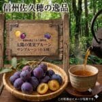 太陽の果実プルーン　サンプルーン（小玉種）　DS予約販売（出荷予定 8月20日頃から2週間）
