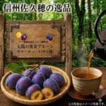 太陽の果実プルーン　サマーキュート（中玉種）　DS予約販売（出荷予定 8月17日頃から2週間）