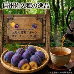 「太陽の果実プルーン サマーキュート（中玉種）」と呼ばれる新鮮な紫色のプラムが入ったかごが、静かな森の風景を背景にしたテーブルの上に誘うように置かれ、ティーポットからお茶が優しく注がれています。 かごの後ろには、プラムのイラストで飾られたかわいらしい木製の看板が掲げられており、そこに「DS予約販売」という日本語の文字が記され、この特別な夏の果実の限定予約販売が告知されています。発送は8月17日頃から2週間の予定となっています。.