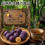 太陽の果実プルーン　オータムキュート（中玉種）　DS予約販売（出荷予定 9月15日頃から2週間）