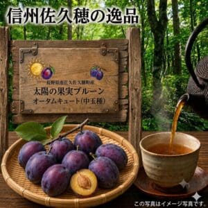 静かな森の風景の中、テーブルの上に熟した「太陽の果実プルーン オータムキュート（中玉種）」の入ったかごが置かれており、その横には「DS予約販売（出荷予定 9月15日頃から2週間）」と書かれた日本語の木の看板があり、黒いティーポットからお茶がカップに注がれている。.